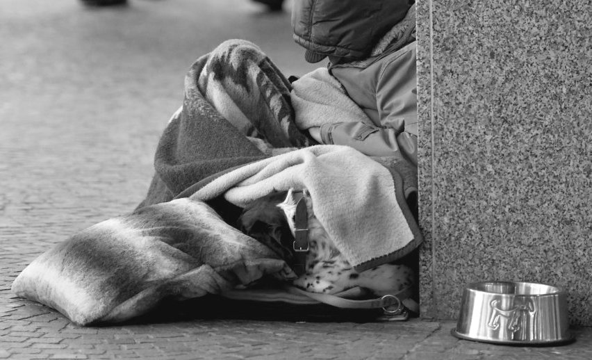Die Hunde der Obdachlosen